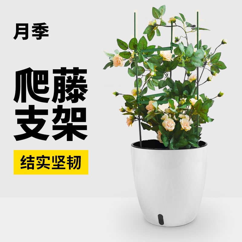 爬藤支架番茄蔬菜西瓜支撑杆黄瓜西红柿阳台爬藤架植物瓜果花架 - 图2