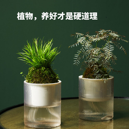 自动吸水懒人储水盆栽桌面简约透明花盆绿萝盆绿箩花卉绿植小花盆 - 图2