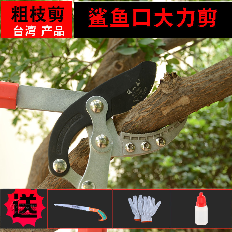 强力粗枝剪伸缩大剪刀修树大压力剪园林园艺工具果树省力剪修枝剪_虎窝淘