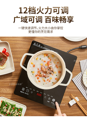 气电一体灶台嵌两用大功率电磁炉