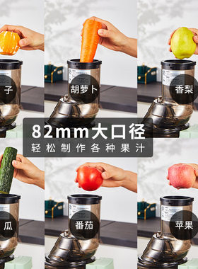 110v伏榨汁机汁渣分离家