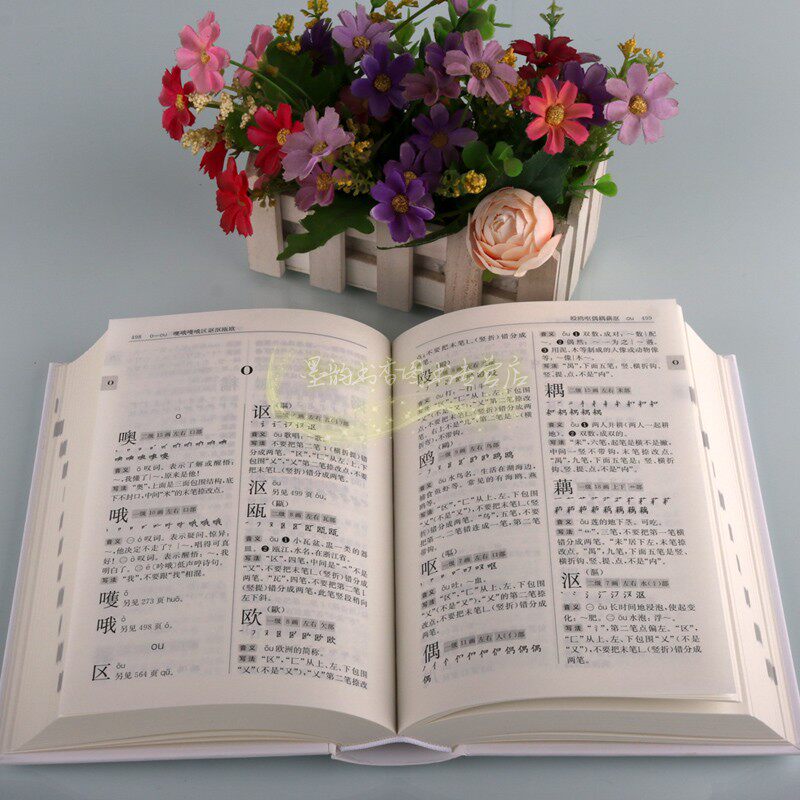 规范汉字写法字典32开本学写规范汉字书写写法规则字源字体国家通用语言文字法规范汉字表甲骨文金文小篆隶书法字体上海辞书出版社