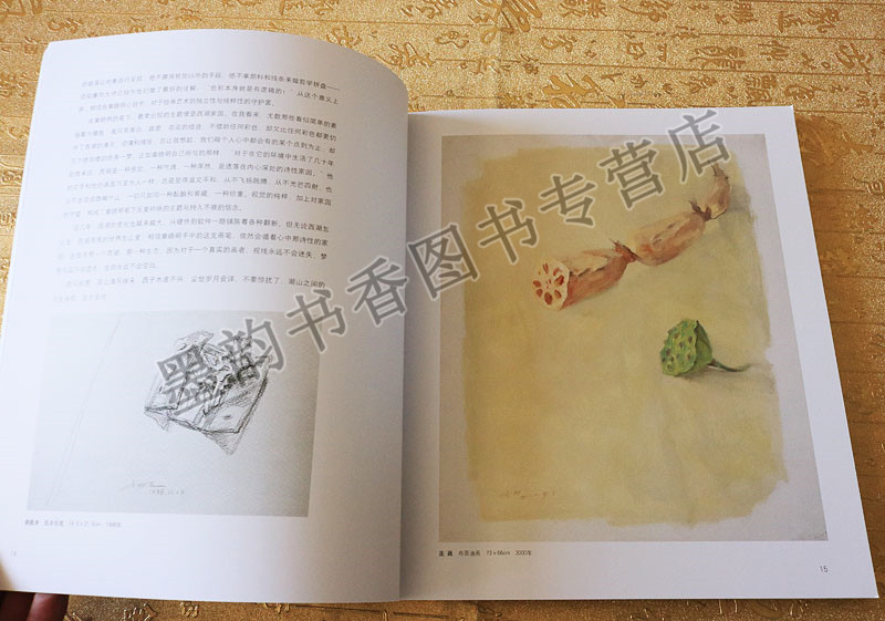 正版 当代艺术家.章晓明 陈平等编 这幅作品被视为西方古典绘画语言来表现东方情愫和当代生活变革的成功的转型之作山东美术出版社