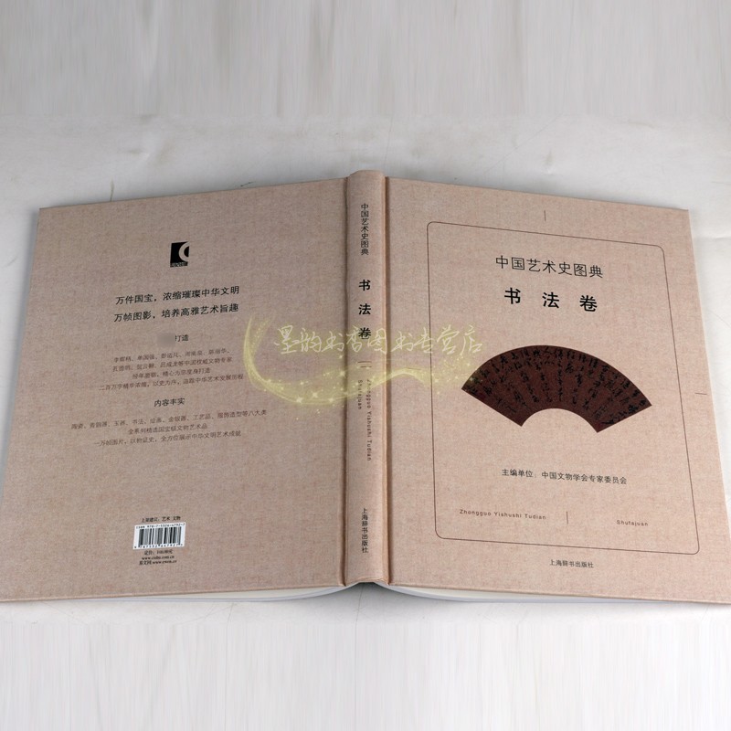 中国艺术史图典书法卷中国古代书法作品文物考古图集考古新发现名家传世精品高清图谱碑帖墨迹书法历史研究上海辞书出版社书籍