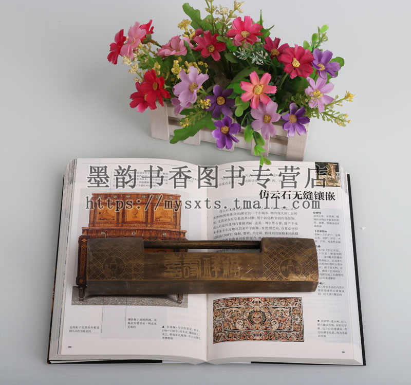 正版 艺术辞典系列图解艺术技巧与素材 艺术理论书籍剖析经典画作表现手法图解艺术技巧基础教程名家艺术作品鉴赏书籍北京美术摄影 - 图2