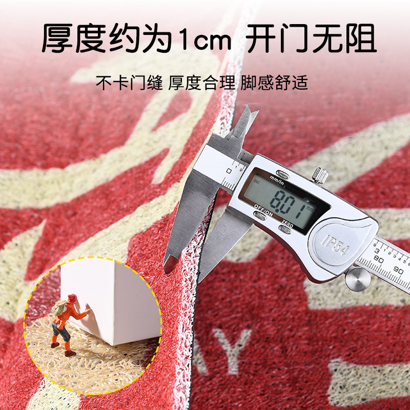 亮朵家居专营店入户门地垫厨房浴室大门口进门防滑门垫脚垫耐脏家用丝圈脚踏地毯2