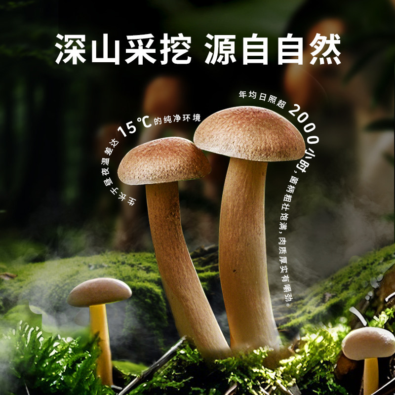 金大州鹿茸菇20袋开袋即食成都特产麻辣休闲零食小吃菌菇下饭菜,淘宝优惠券,粉丝福利购,淘宝优惠卷