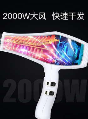 火之凤电吹风机大功率负离子护发