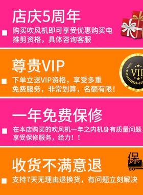 火之凤电吹风机正品专业3100H