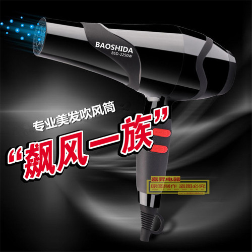 保时达电吹风机2250W恒温护发大功率冷热风家用发廊专用电吹风筒 - 图0