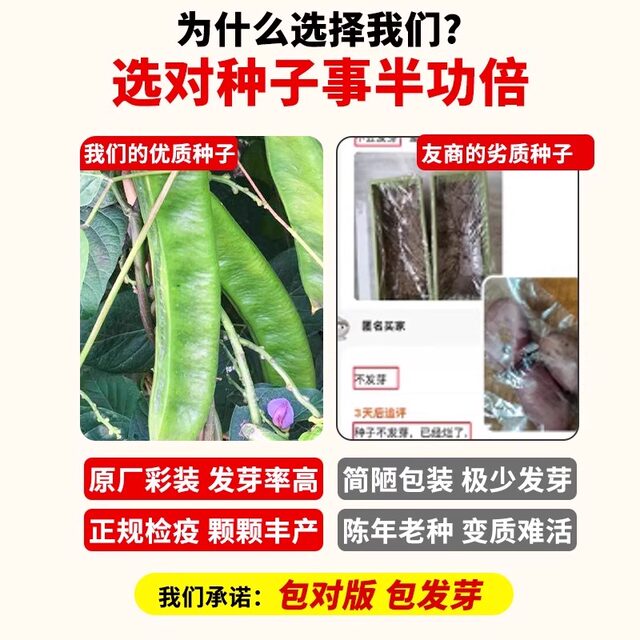 Cannabis seeds can be planted nationwide and have a high germination rate