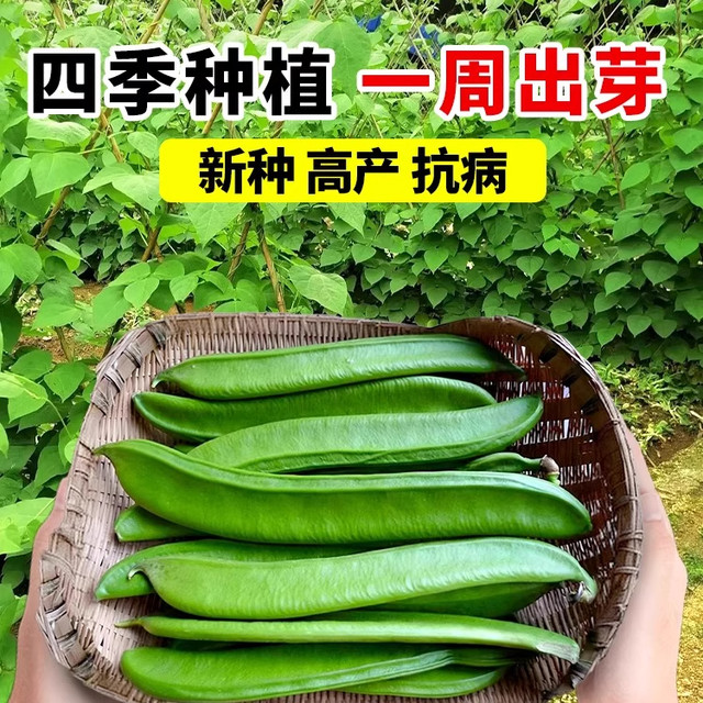 Cannabis seeds can be planted nationwide and have a high germination rate