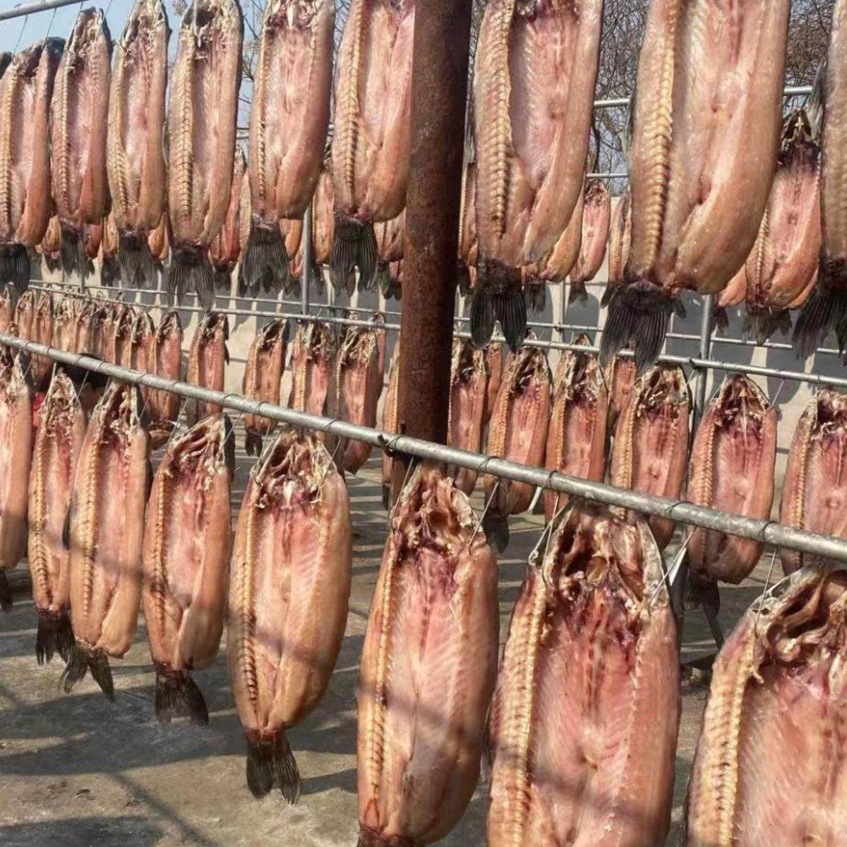 湖北特产农家自制年货腊鱼咸鱼风干水库螺蛳青鱼大青鱼干整条包邮,淘宝优惠券,粉丝福利购,淘宝优惠卷