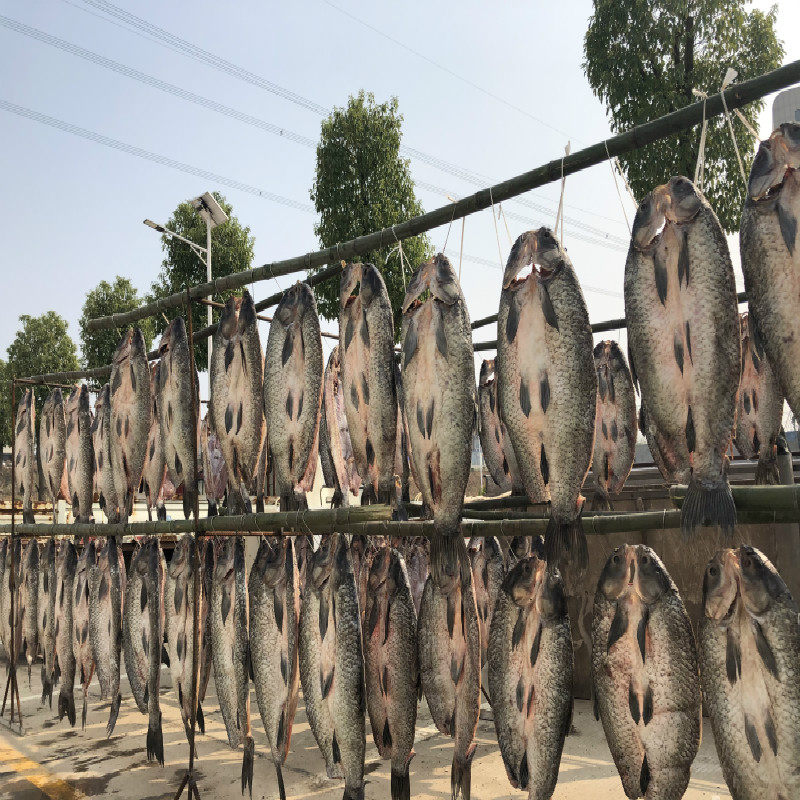 湖北特产农家自制年货腊鱼咸鱼风干水库螺蛳青鱼大青鱼干整条包邮,淘宝优惠券,粉丝福利购,淘宝优惠卷