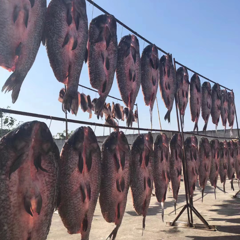 湖北特产农家自制年货腊鱼咸鱼风干水库螺蛳青鱼大青鱼干整条包邮,淘宝优惠券,粉丝福利购,淘宝优惠卷