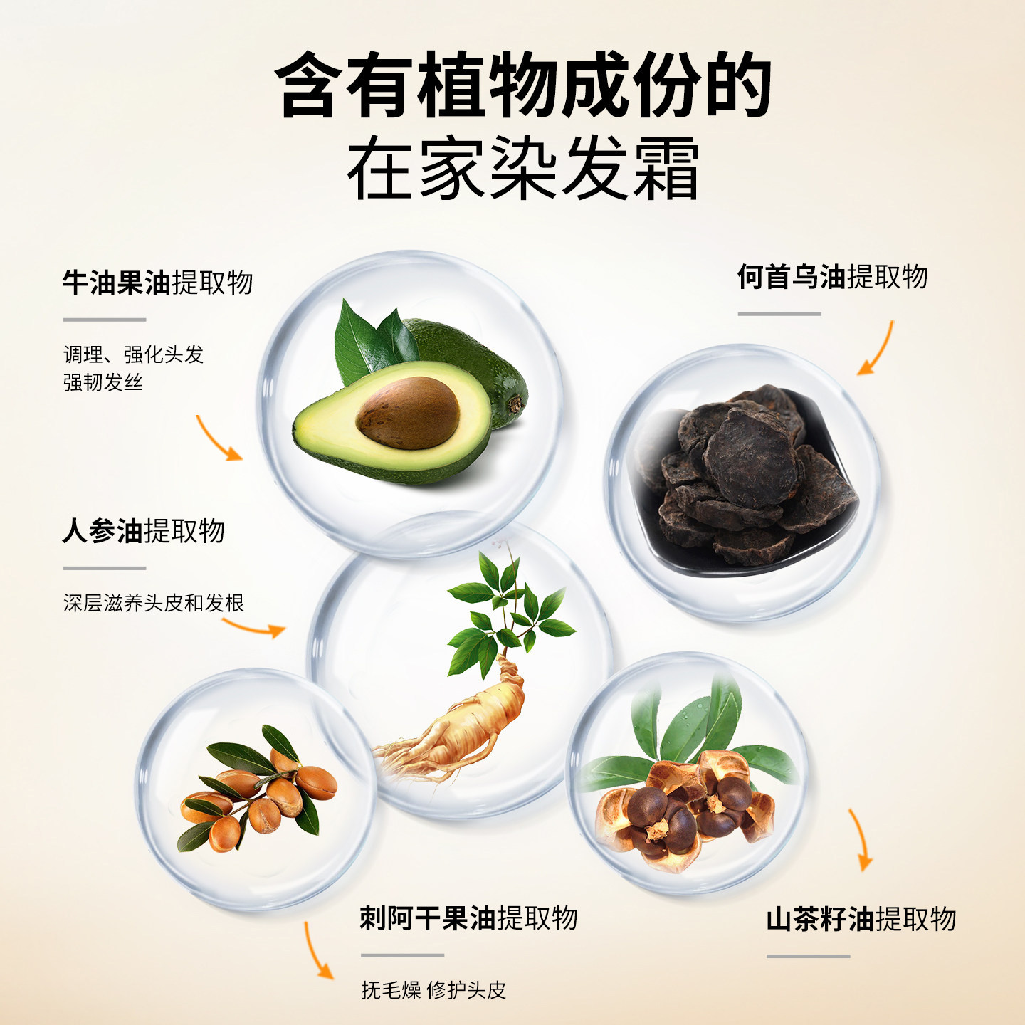 韩金靓官方旗舰店正品染发剂女泡泡染果油植物纯自己在家遮白染膏