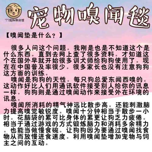 宠物嗅闻藏食垫子猫猫狗狗消耗精力缓解压力慢食益智闻嗅找食玩具 - 图0