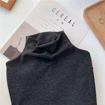 Semi-high collar bottom-shirt woman plus suede thickened warm autumn winter new develvet body pure color 100 hitch long sleeve blouses