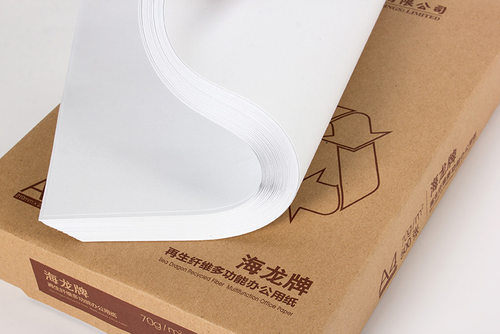 玖龙纸业海龙牌A4复印纸70/80克打印复印纸500张80G纯白A4纸包邮 - 图2