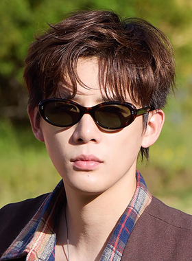 王安宇同款椭圆复古太阳镜欧美时尚痞帅显脸小高级感墨镜防紫外线