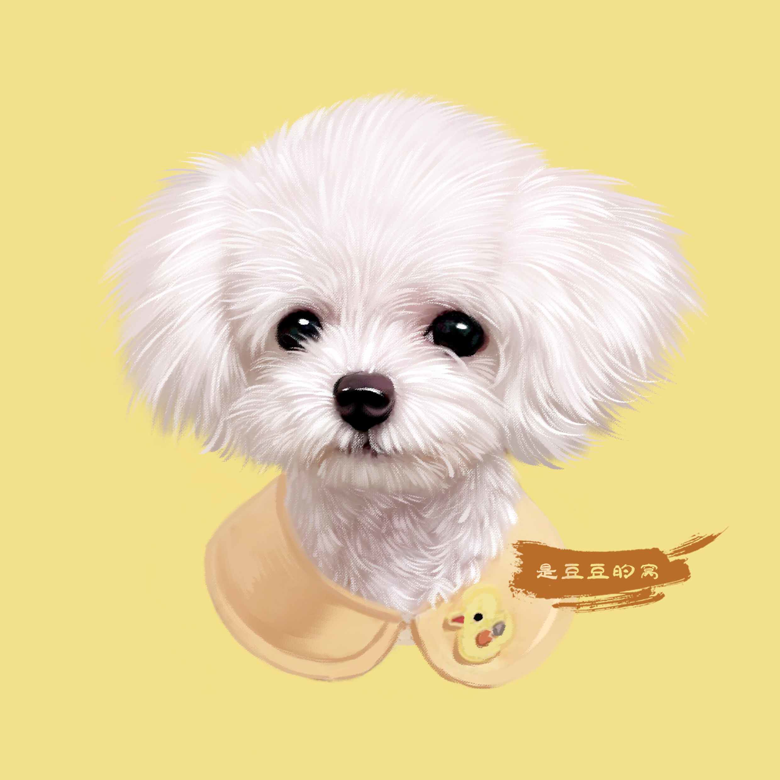 Q版2d头像约稿设计插画卡通动漫宠物猫狗真人照片转手绘电脑定制 是豆豆的窝 淘优券