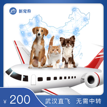 Wuhan Pet Consignment Handling Nationwide Door-to-door Spotting Cat Dog Service Aircraft Train Special Car Random Consignment