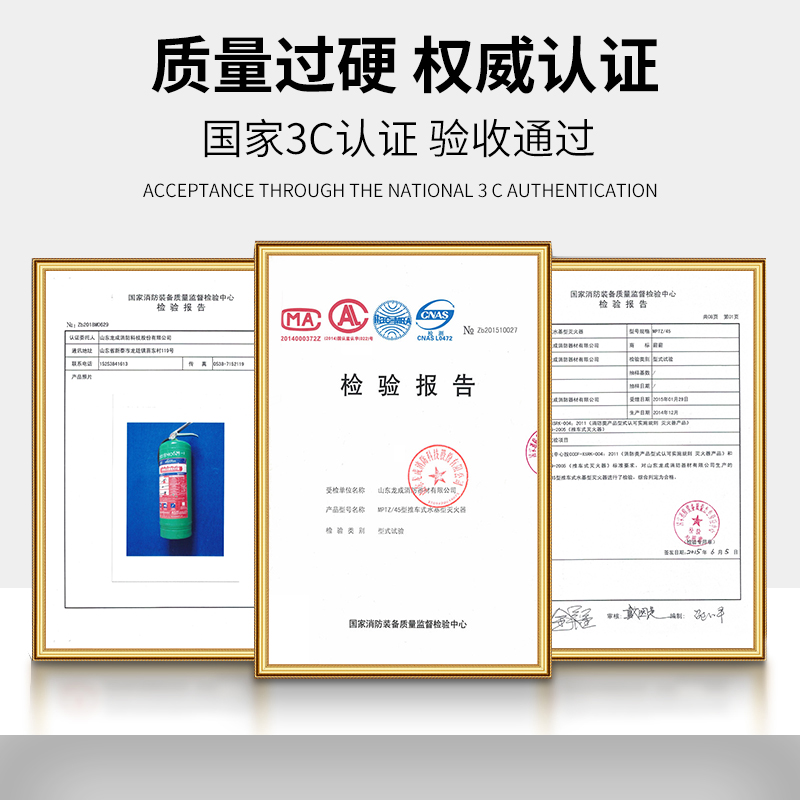 水基灭火器正品商铺用家用车载3L6L3升防冻泡沫型推车4公斤3c认证 - 图2