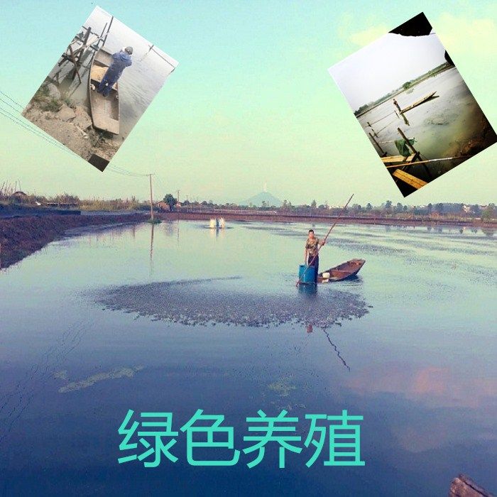 3斤装残蟹固城湖大闸蟹鲜活螃蟹特大断脚断腿螃蟹公3两母2两10只,淘宝优惠券,粉丝福利购,淘宝优惠卷