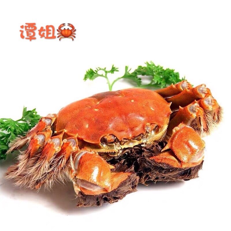南京高淳固城湖大闸蟹鲜活特大母螃蟹去绳净重2.5两母蟹8只礼盒装,淘宝优惠券,粉丝福利购,淘宝优惠卷