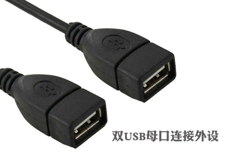 主板9针转USB两口扩展挡板线 杜邦2.54端子 9Pin转USB 2口连接线 - 图2