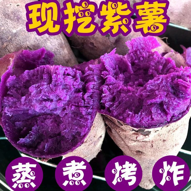 紫薯新鲜10斤番薯地瓜农家蜜薯有机板栗红沙地薯糖心山芋蔬菜烟薯-图0