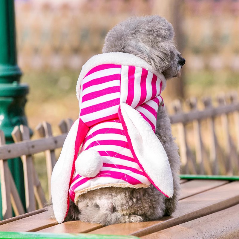 狗狗衣服小型犬春秋夏季薄款四脚睡衣夏天春季泰迪比熊幼犬猫裙子-图2