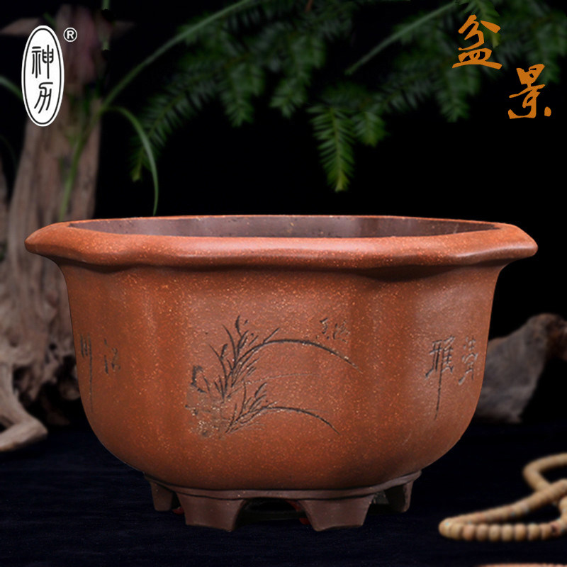 宜兴紫砂陶瓷造型花卉绿植园艺盆景盆仿古葵式树桩盆兰花花盆,淘宝优惠券,粉丝福利购,淘宝优惠卷