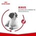 Thức ăn cho chó hoàng gia Thức ăn cho chó trung bình dành cho chó trưởng thành M25 15kg Samoyed Husky Scotty chó trung bình thức ăn chủ yếu - Chó Staples pate cho chó con Chó Staples
