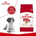 Thức ăn cho chó hoàng gia Thức ăn cho chó trung bình dành cho chó trưởng thành M25 15kg Samoyed Husky Scotty chó trung bình thức ăn chủ yếu - Chó Staples