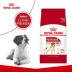 Thức ăn cho chó hoàng gia Thức ăn cho chó trung bình dành cho chó trưởng thành M25 15kg Samoyed Husky Scotty chó trung bình thức ăn chủ yếu - Chó Staples pate cho chó con Chó Staples