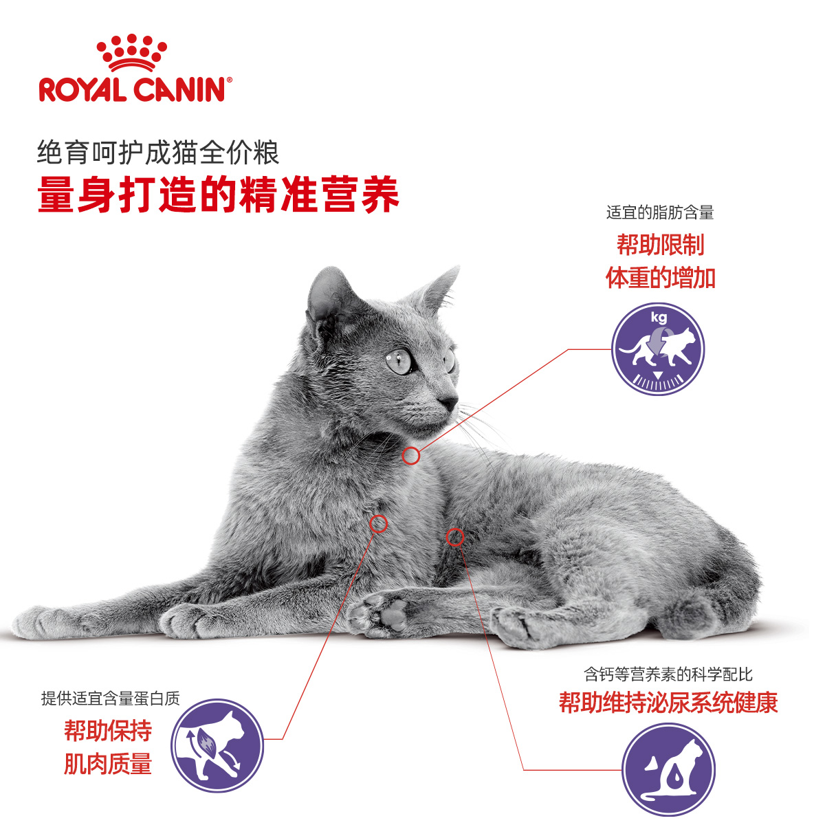 皇家猫粮成猫粮绝育呵护成猫通用粮全价猫主粮