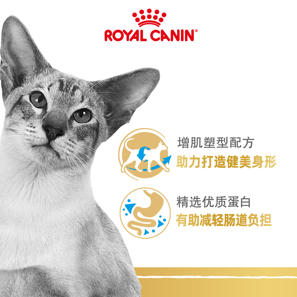 皇家猫粮暹罗猫成猫粮斯芬克斯无毛猫孟加拉豹猫缅因品种全价主粮-图0