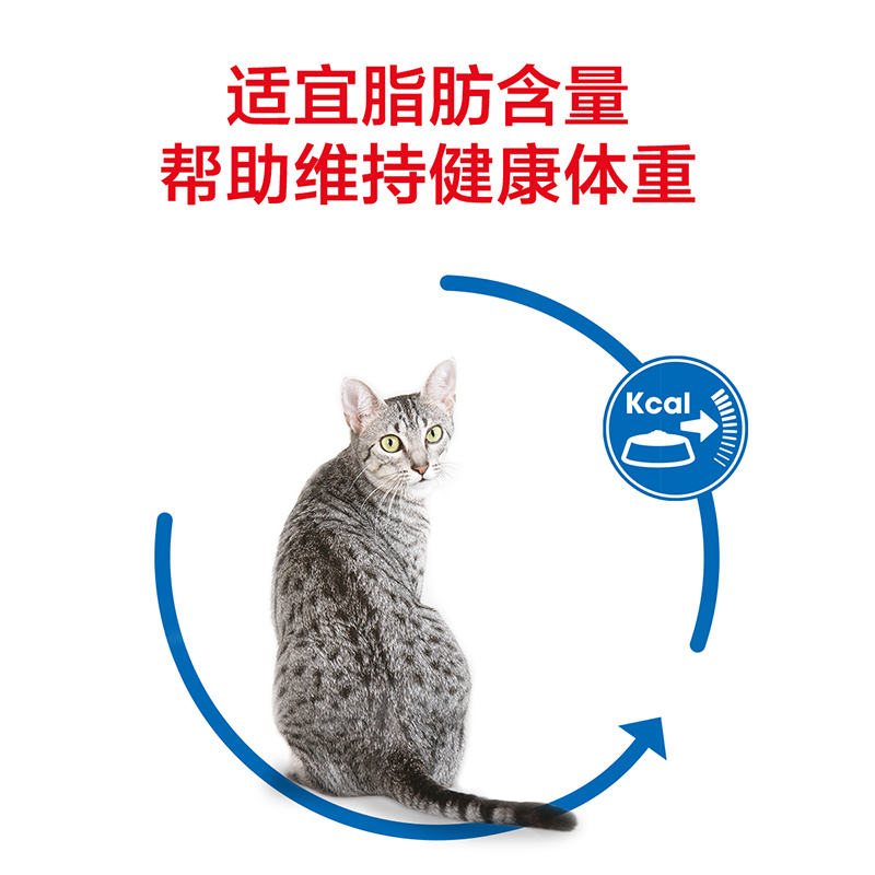 Royal Canin皇家猫粮 室内成猫粮I27 0.4KG*4袋 1-7岁通用型优惠券
