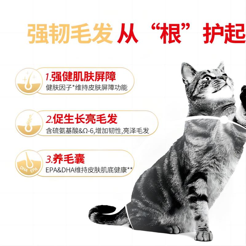 皇家猫粮美短成猫粮ASA31虎斑起司专用全价主粮美毛呵护肠道2KG - 图3