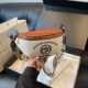 2026 new high-end armpit cross-body dumpling bag