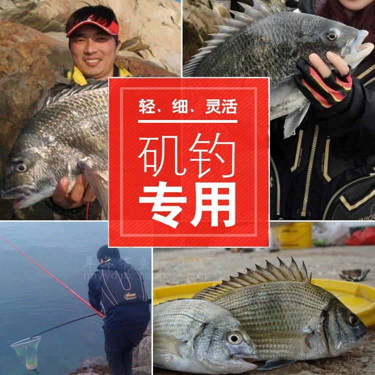矶竿特价处理碳素超硬超轻日本进口长节矶钓竿超细远投手海杆两用,淘宝优惠券,粉丝福利购,淘宝优惠卷