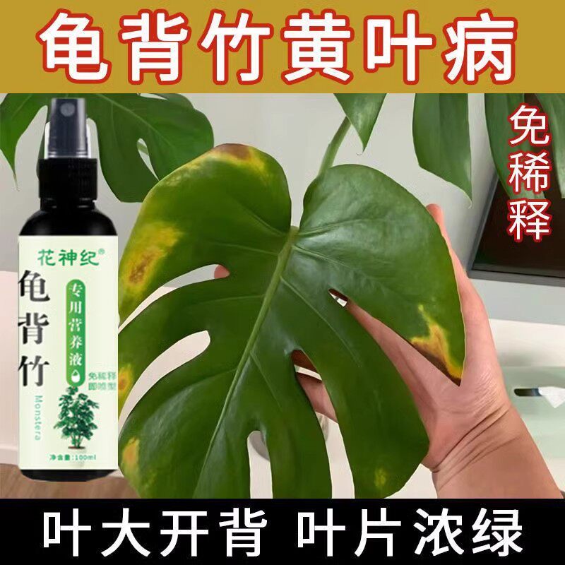 【急救】龟背竹专用营养液黄叶卷叶烂根一喷冒新芽免稀释新型肥 - 图0