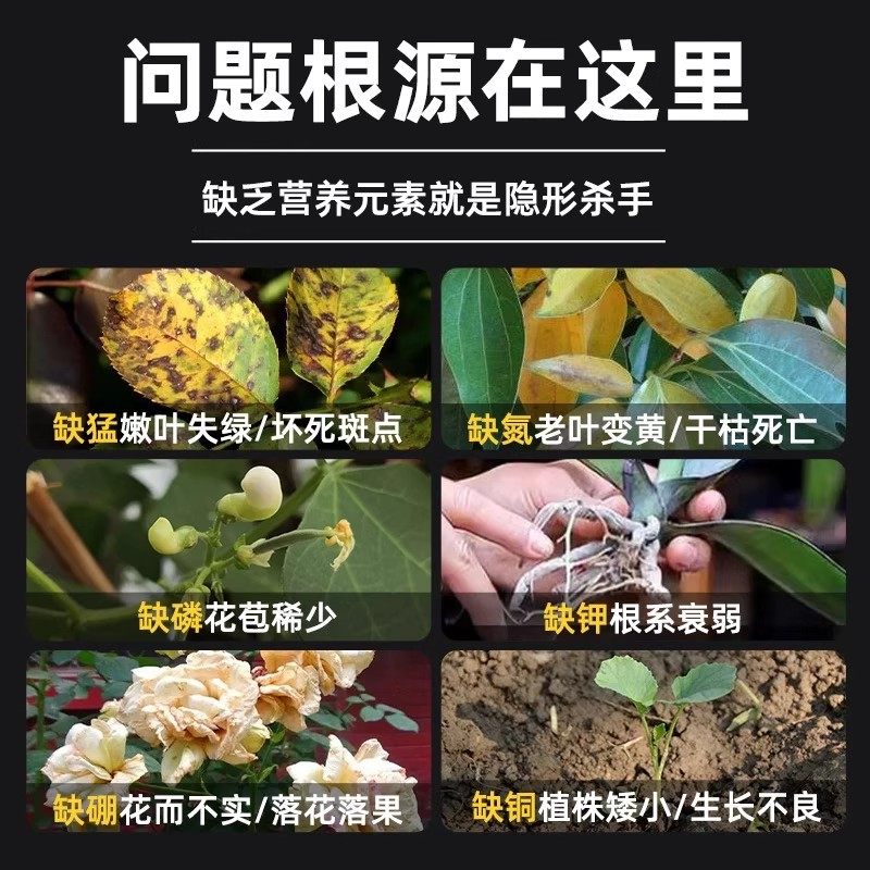三角梅催花开花粉促芽剂光杆快速发芽治黄叶落叶枯萎壮根助长肥料,淘宝优惠券,粉丝福利购,淘宝优惠卷