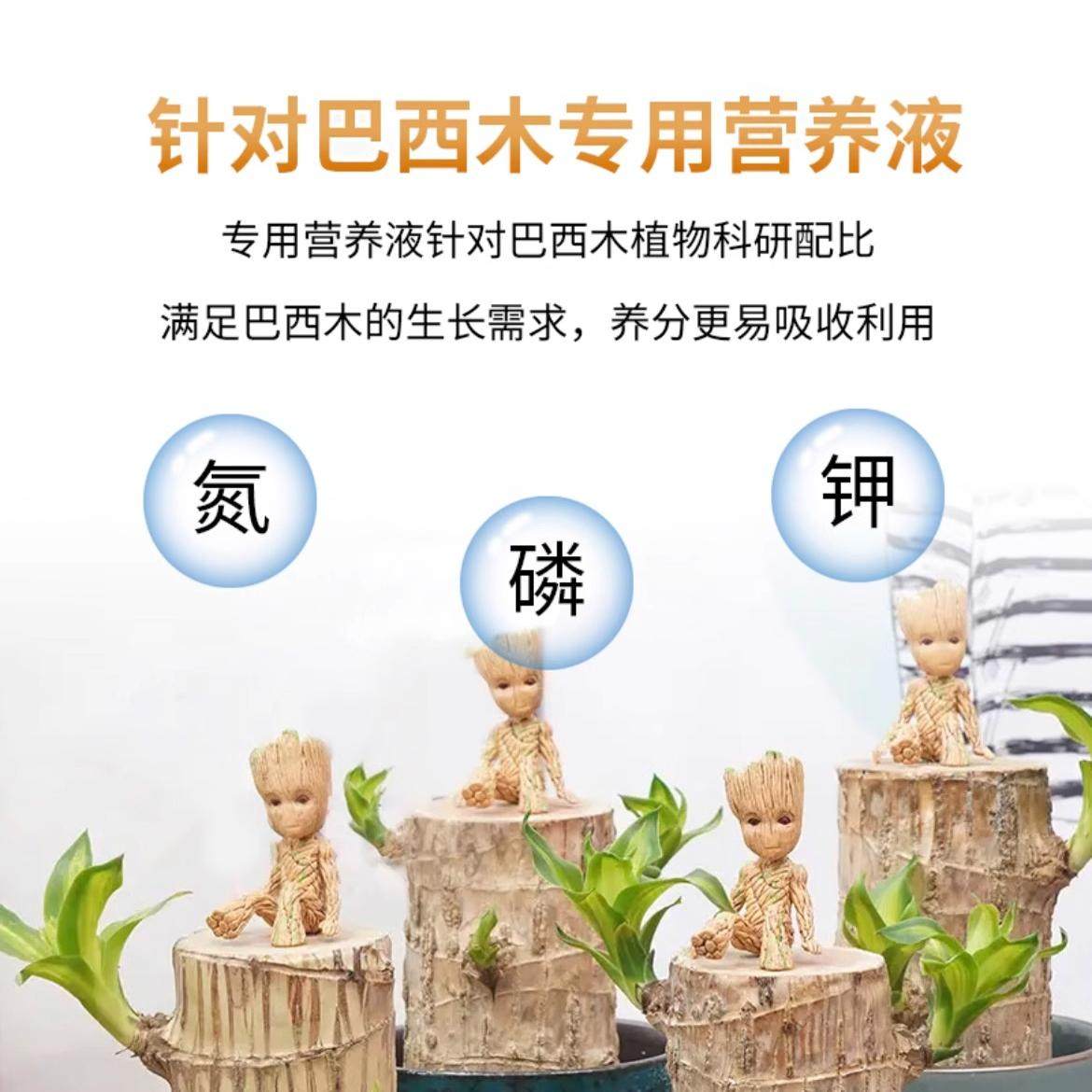 巴西木幸运木开花营养液养花盆栽通用型水培植物专用肥料黄叶烂根,淘宝优惠券,粉丝福利购,淘宝优惠卷