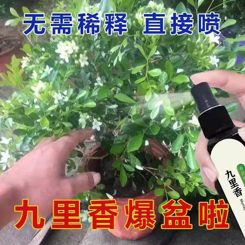 【专治不开花】九里香营养液防卷叶黄叶不开花促花苞专用肥营养液,淘宝优惠券,粉丝福利购,淘宝优惠卷