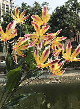 百合仿真客厅塑料摆件假花