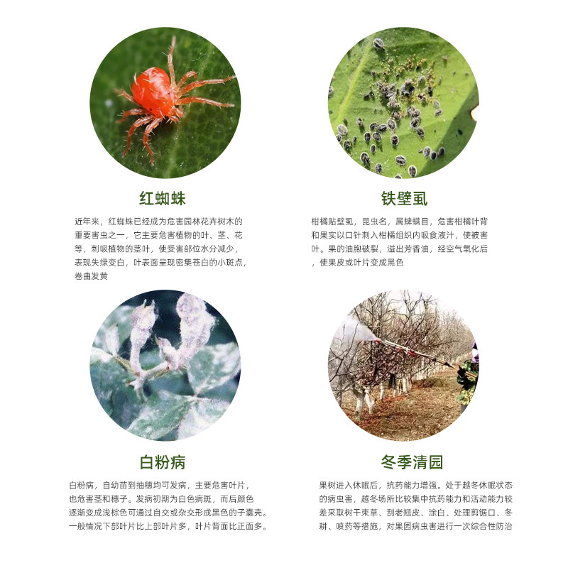 29%石硫合剂水剂果树大棚清园剂白粉病蚧壳虫红蜘蛛农药树干涂白