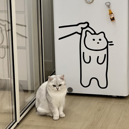 小猫咪有趣贴纸 ins墙贴创意宠物店门贴厨房冰箱玻璃贴房间装饰贴 - 图0