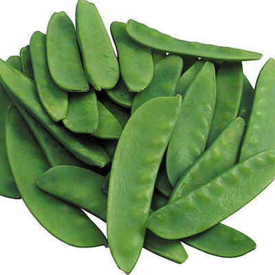 荷兰豆种子大荚型菜豆青豆四季软荚豌豆高产好种阳台盆栽四季播 虎窝淘
